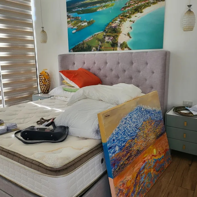 HD 열 전달 음향 벽화 - 맞춤형, 소음 감소, 학교/강당에 적합